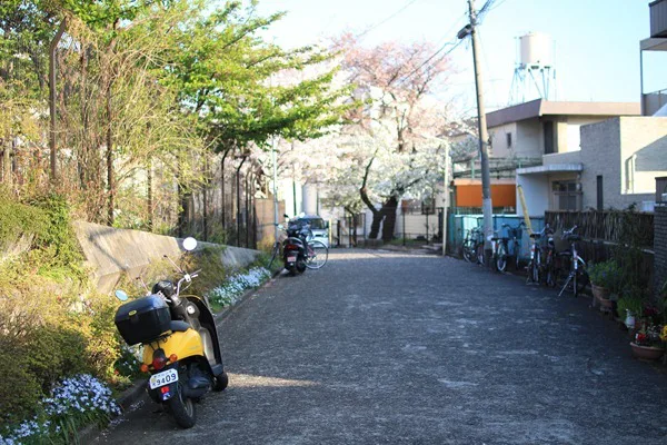 聖地巡礼 秒速5センチメートル 東京 参宮橋 代々木公園 桜咲く季節に散歩するin15 職業 魔法使い死亡 海外自転車旅行中