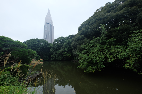 聖地巡礼記:Forest@新宿御苑 雨の日の御苑を歩いてるとむしろ言の葉の庭を思い出すわけだが