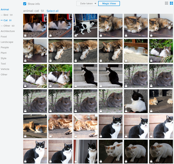 image2 - 衝撃!いつのまにかFlickrもGoogleフォトをパクって写真分類機能が付いているじゃねーかよ！というわけで、どっちの性能が優秀か比べてみたよ