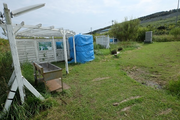DSCF2960 - 天売島は鳥とウニが有名である@東日本ツーリング41日目