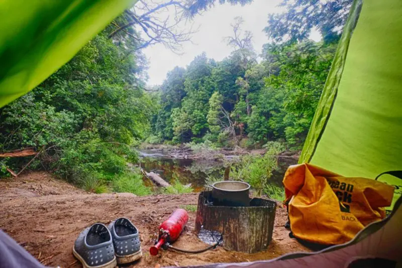 レビュー】MSR ウィスパーライトインターナショナル【ガソリンストーブ