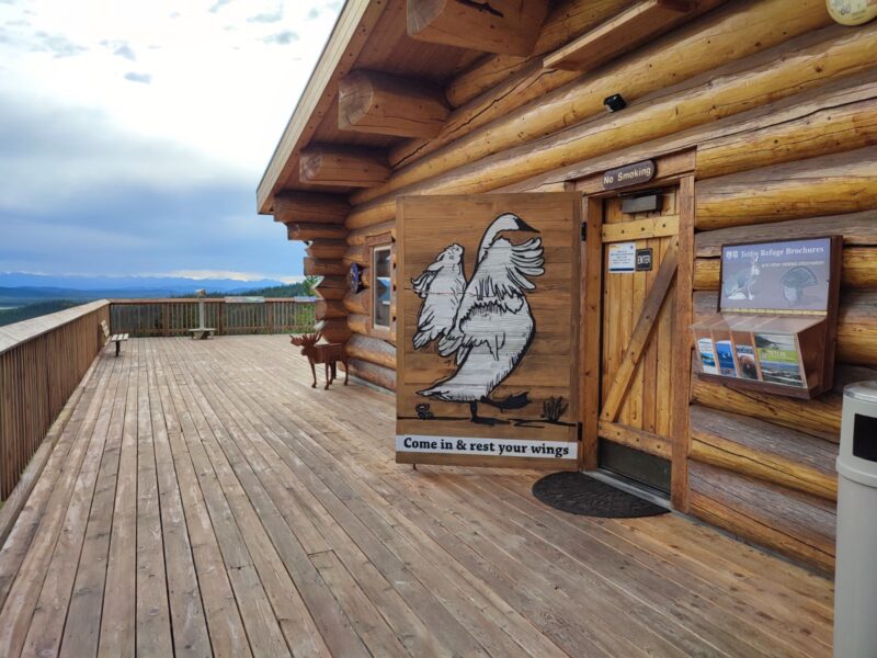image 339 - カナダ国境へ|アラスカ・アメリカ合衆国自転車旅行記 （2023年6月~7月）